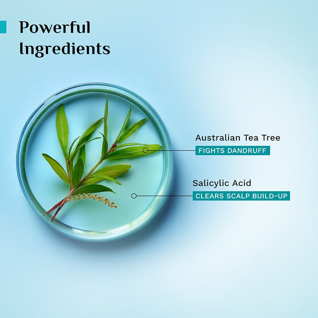 Australian Tea Tree Non-Drying Anti-Dandruff Shampoo