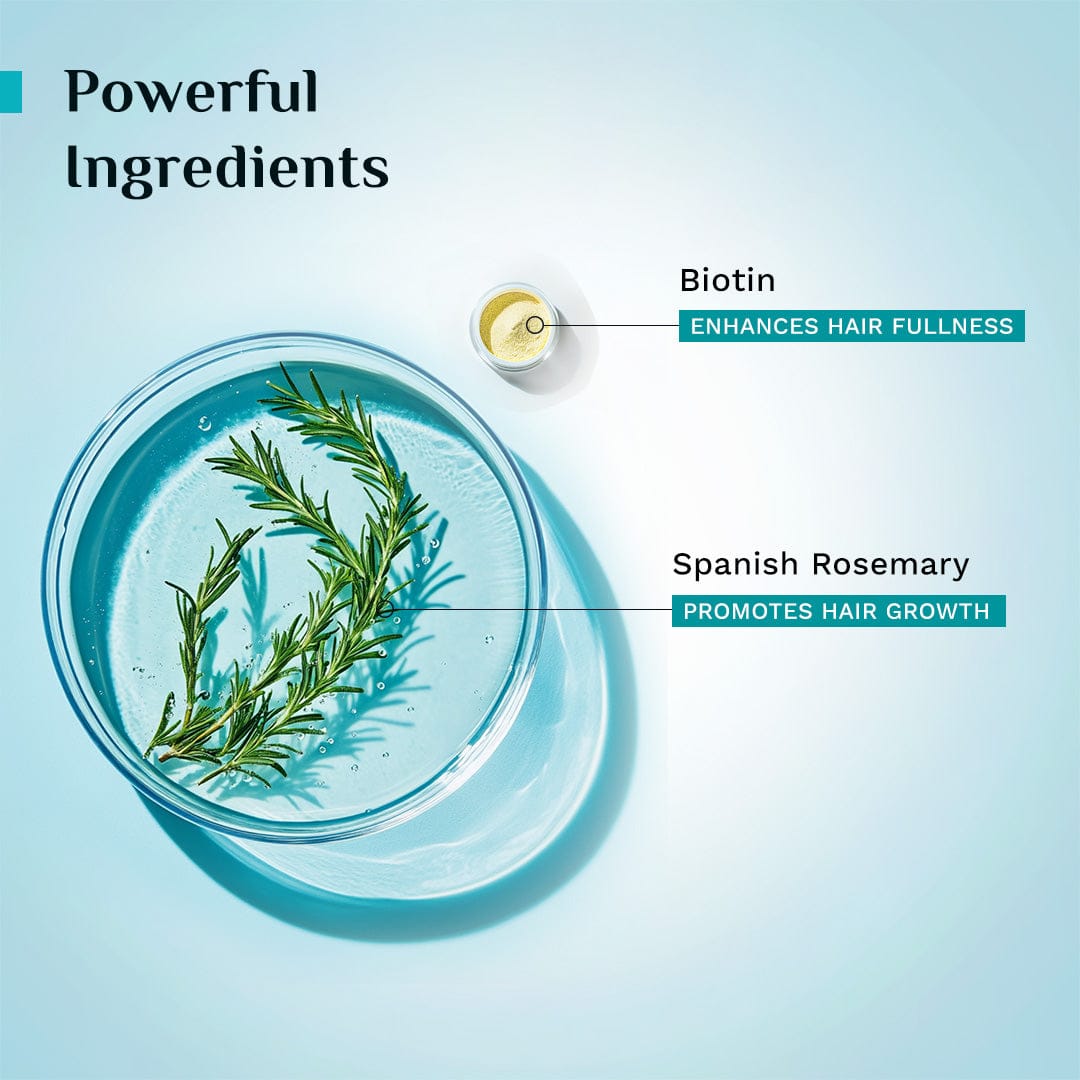 Spanish Rosemary & Biotin Hair Growth Oil