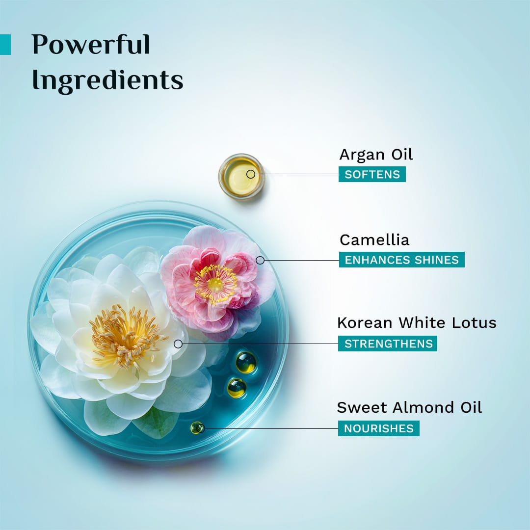 K-Beauty Shampoo + Conditioner Combo