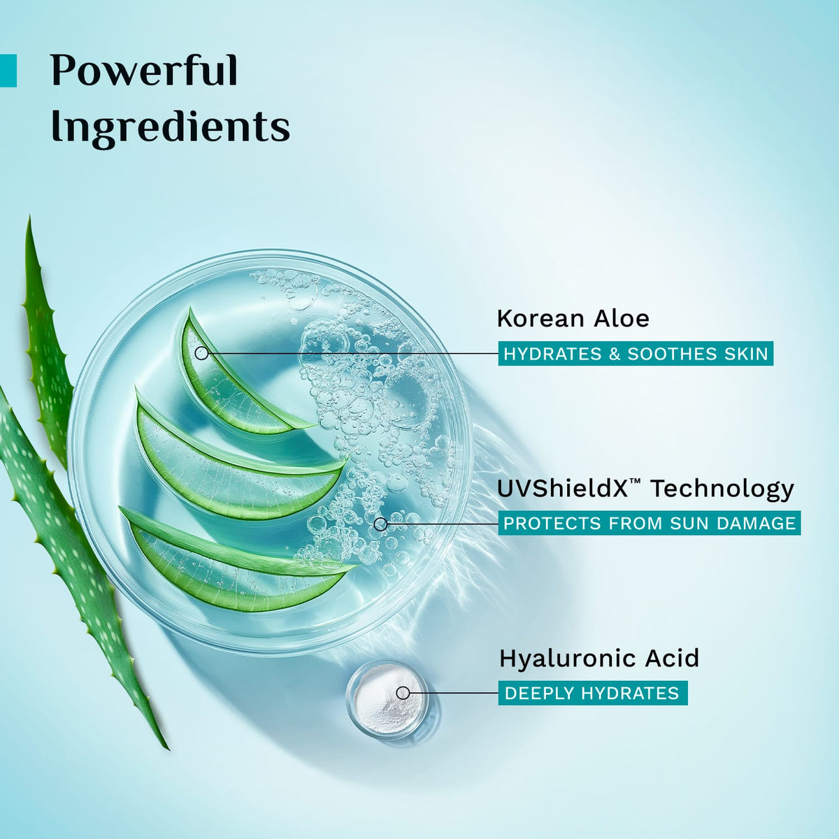 Korean Aloe Cooling Fluid Sunscreen SPF 50+ PA++++