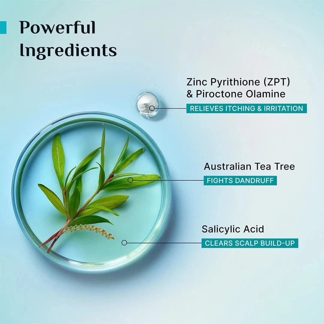 Australian Tea Tree Non-Drying Anti-Dandruff Shampoo