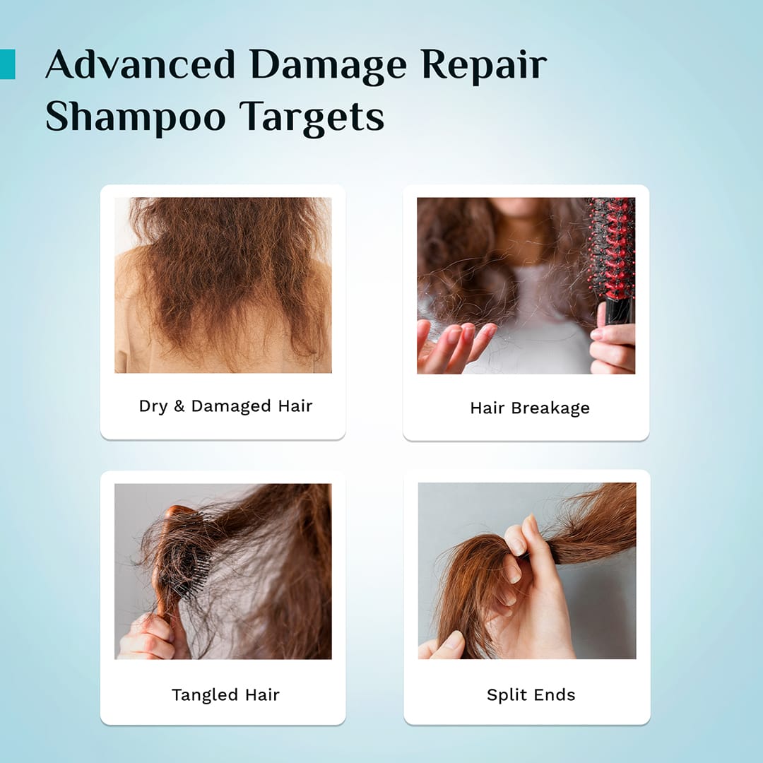 Korean Rice Water & Collagen Advanced Damage Repair Shampoo