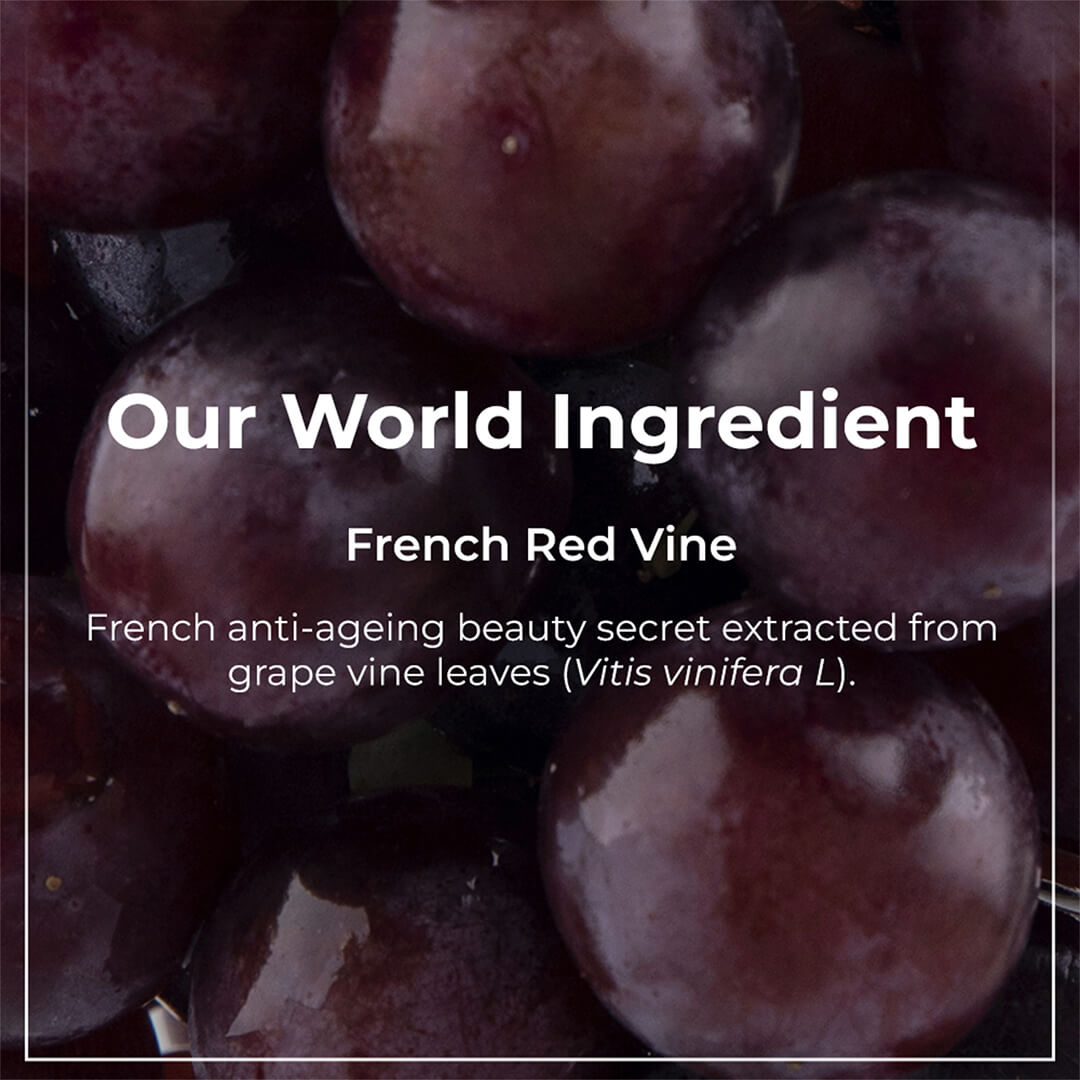 Red Vine Night Gel Crème with Retinol, Mulberry & Vit. C