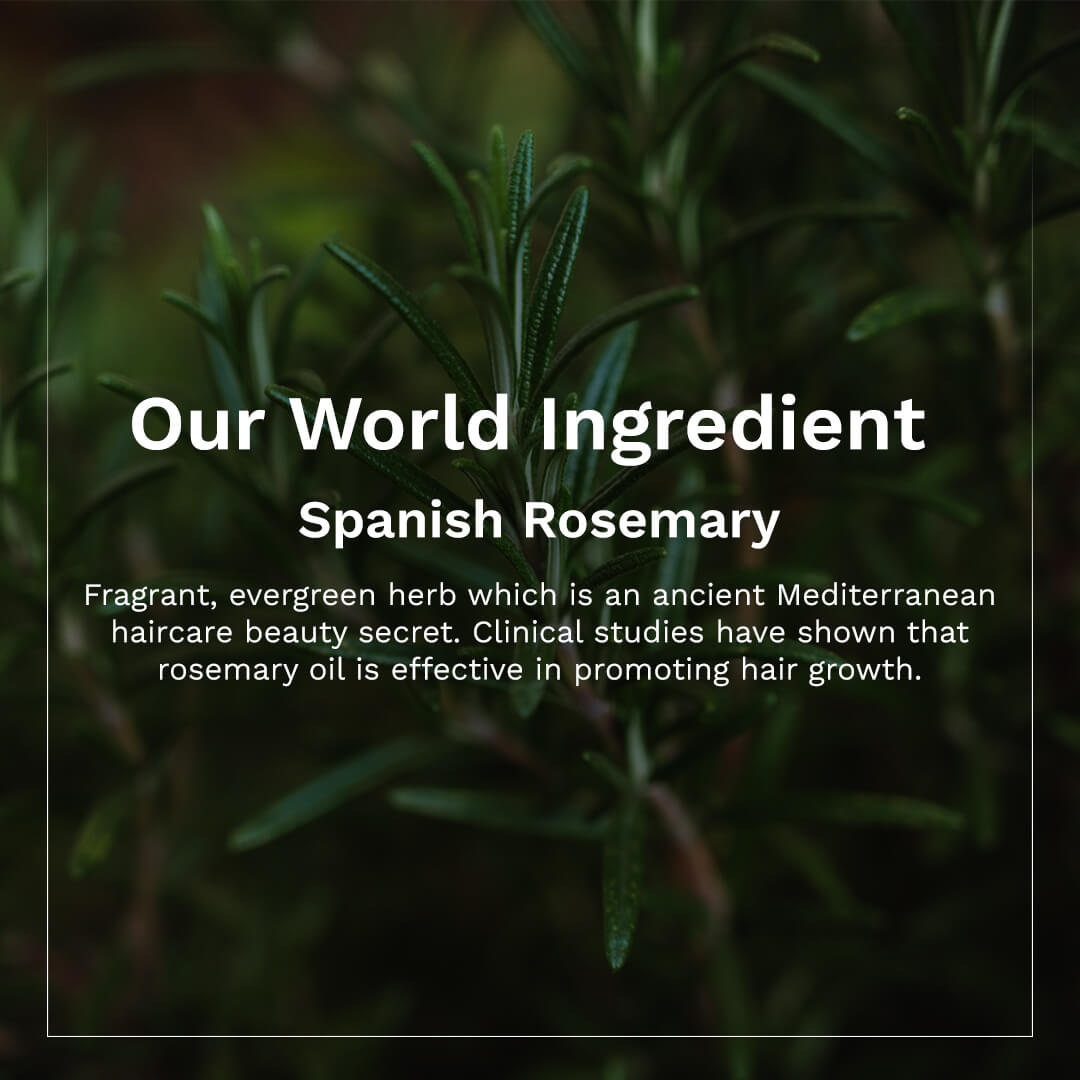 Spanish Rosemary & Biotin Anti-Hairfall Conditioner