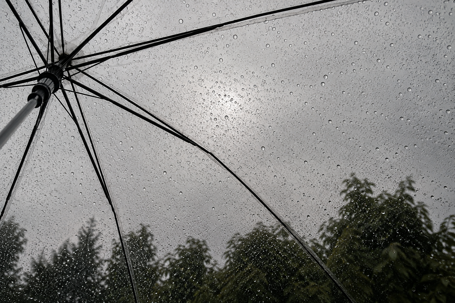 Fungal Acne in Monsoon: What It Actually Is, Why It Spikes in July, and How to Clear It