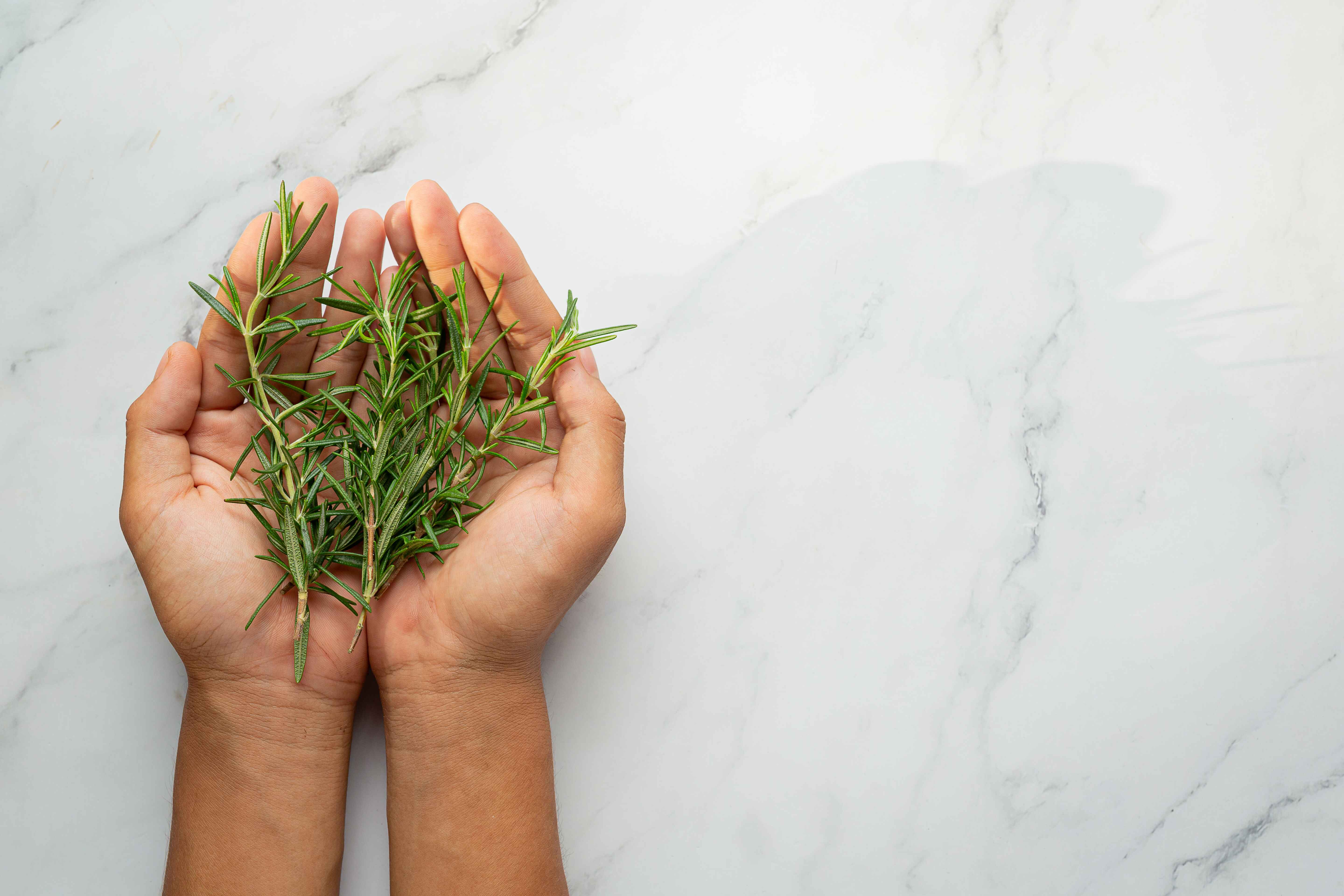 Rosemary - A Revival Revolution
