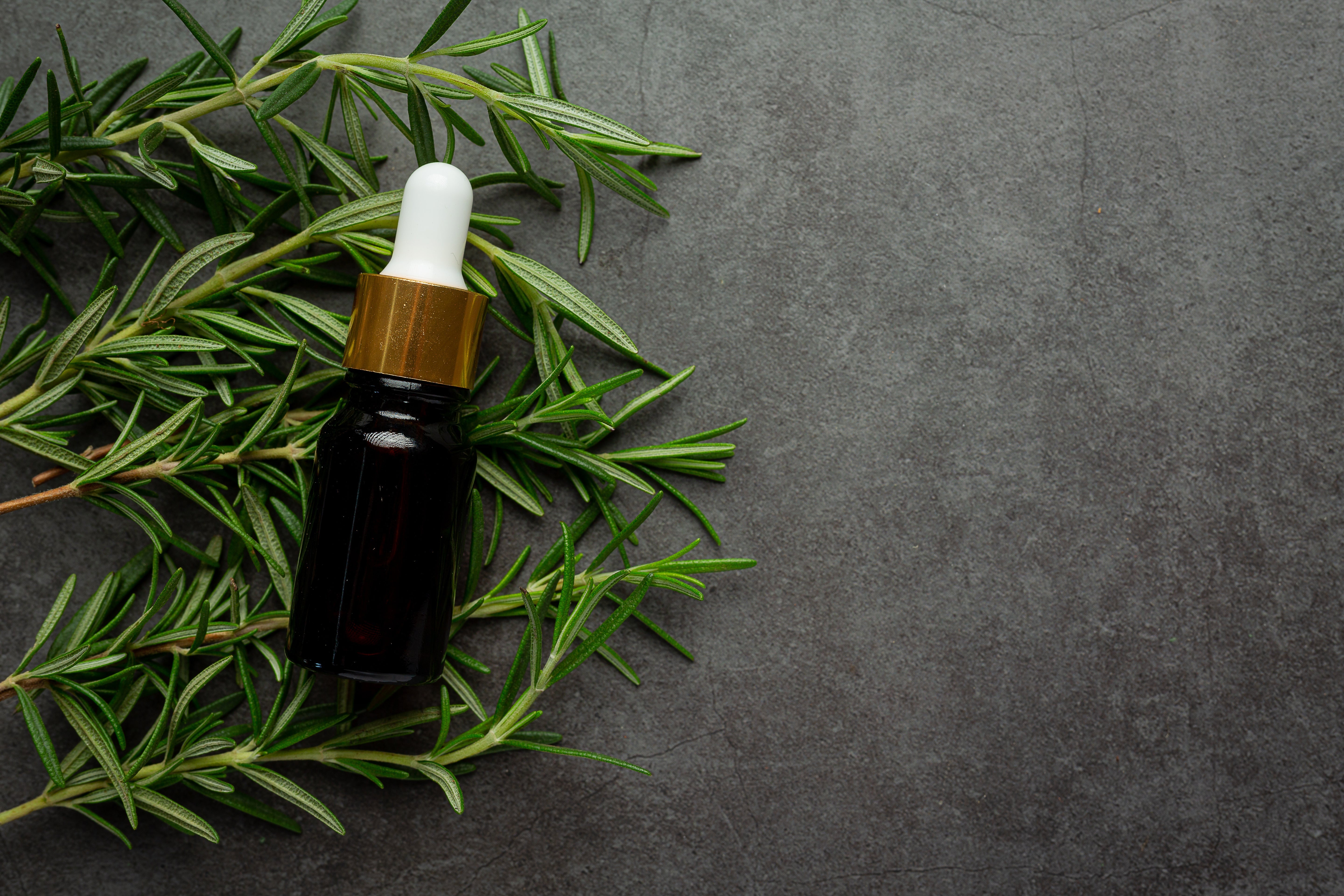 Tea Tree Oil - The Ultimate Essential