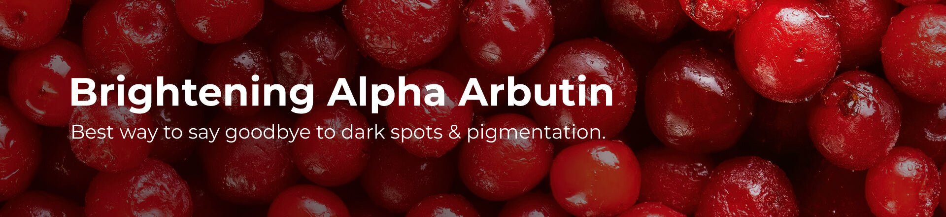 Brightening Alpha Arbutin | Pilgrim India