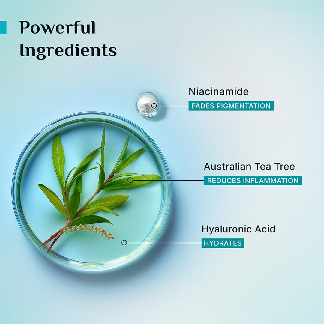 Tea Tree Purifying Toner