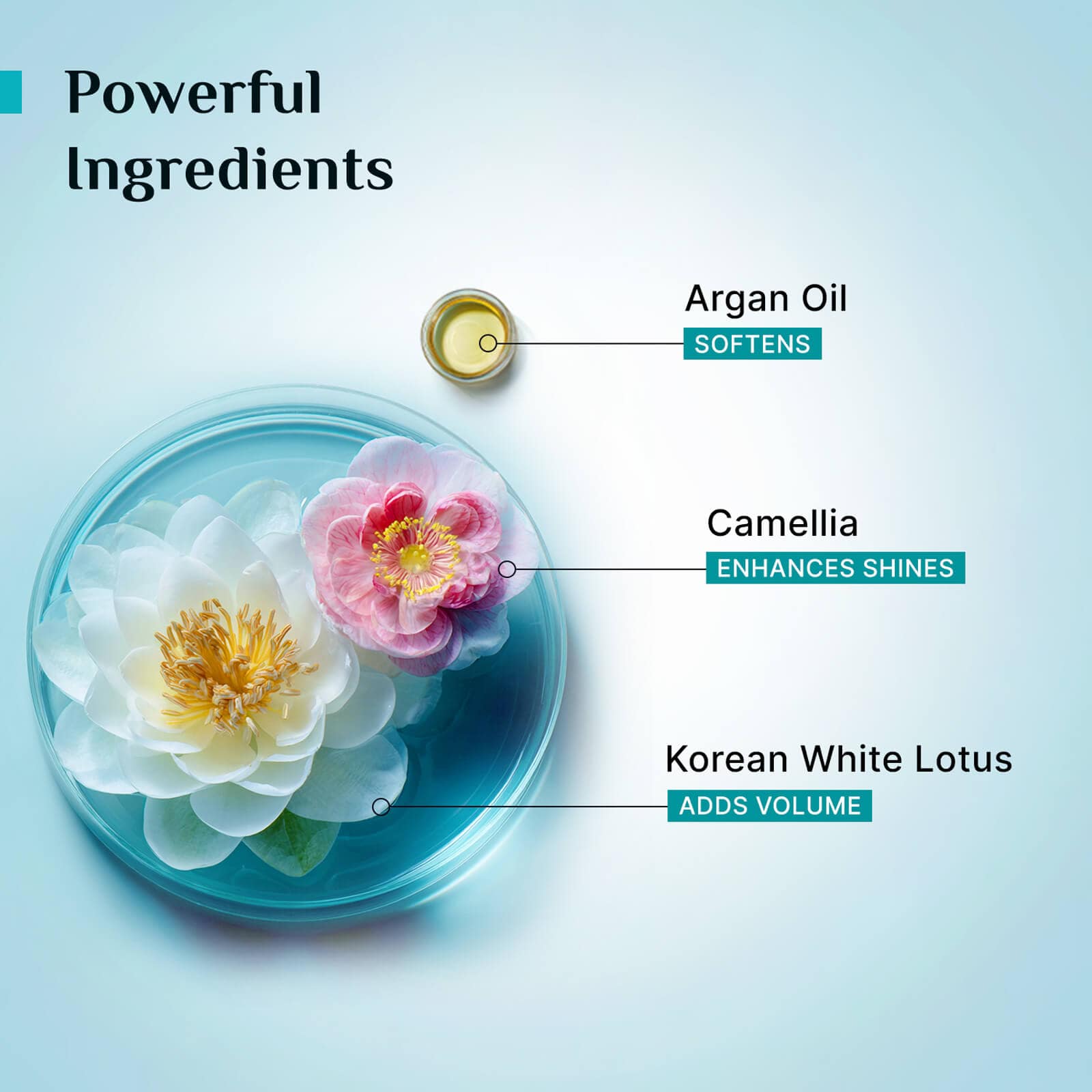 Sulphate Free Shampoo  & Argan Oil Hair Mask