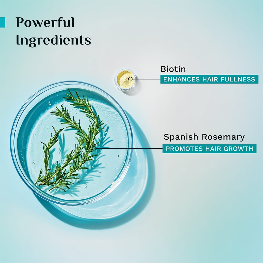 Spanish Rosemary & Biotin Anti-Hairfall Shampoo - 400ml