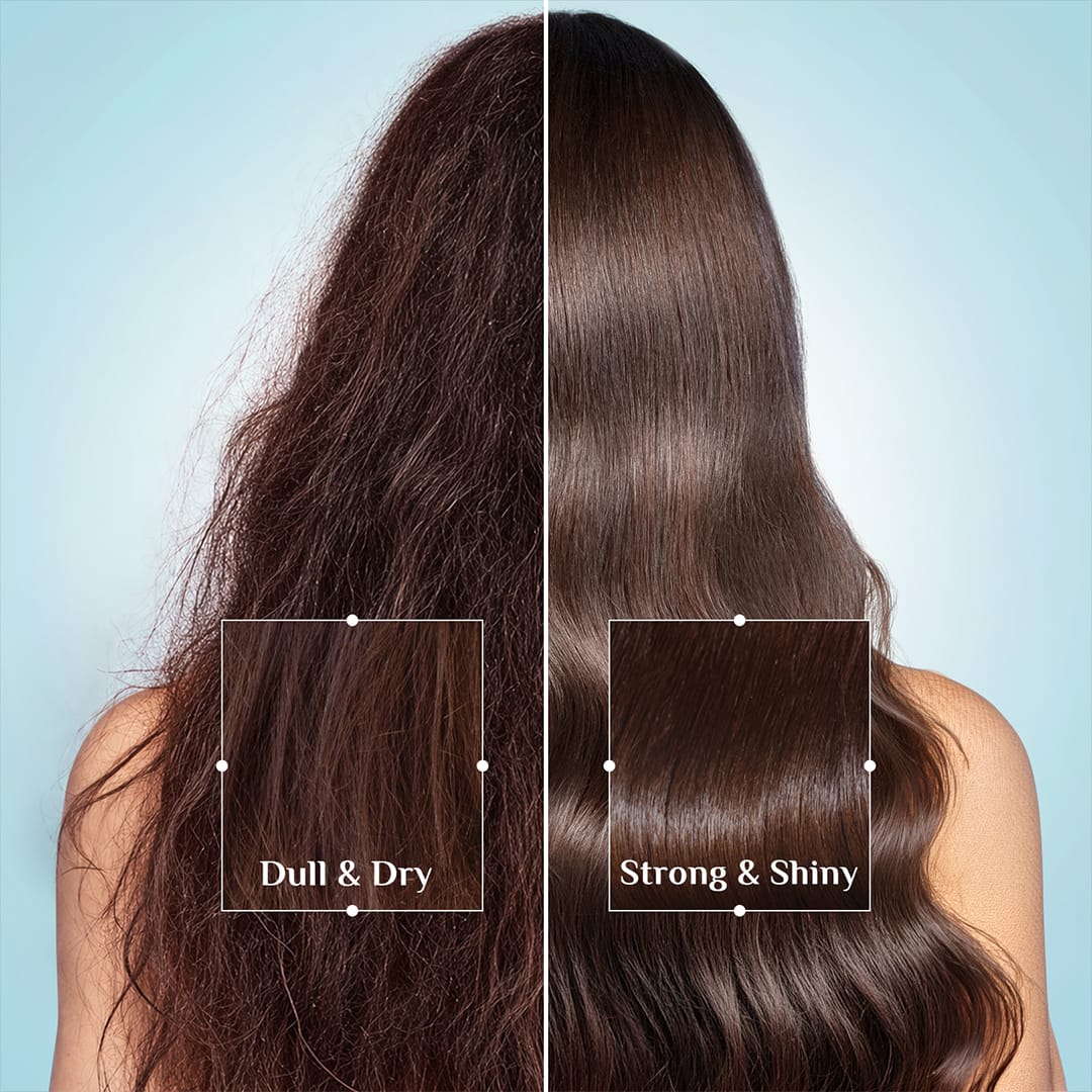 Argan Oil Hair Conditioner