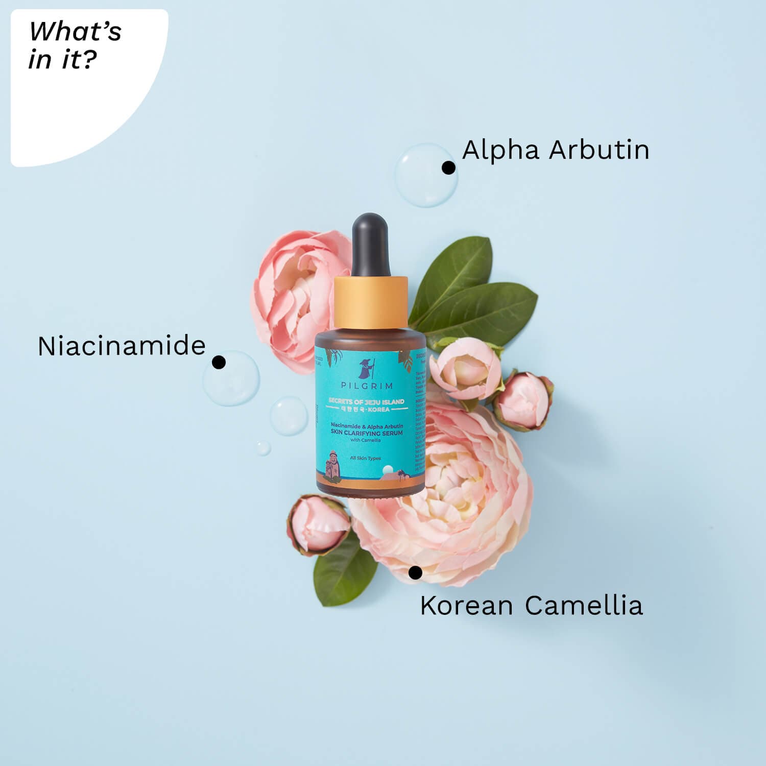 Niacinamide & Alpha Arbutin SKIN CLARIFYING SERUM